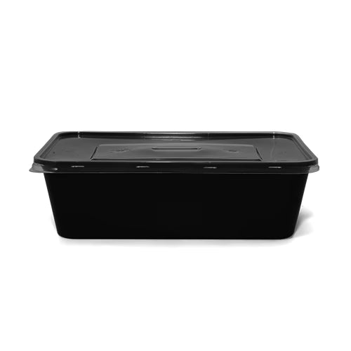 Rectangular Plastic Container